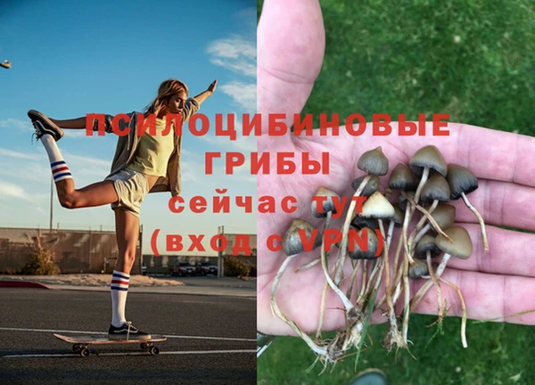 spice Навашино
